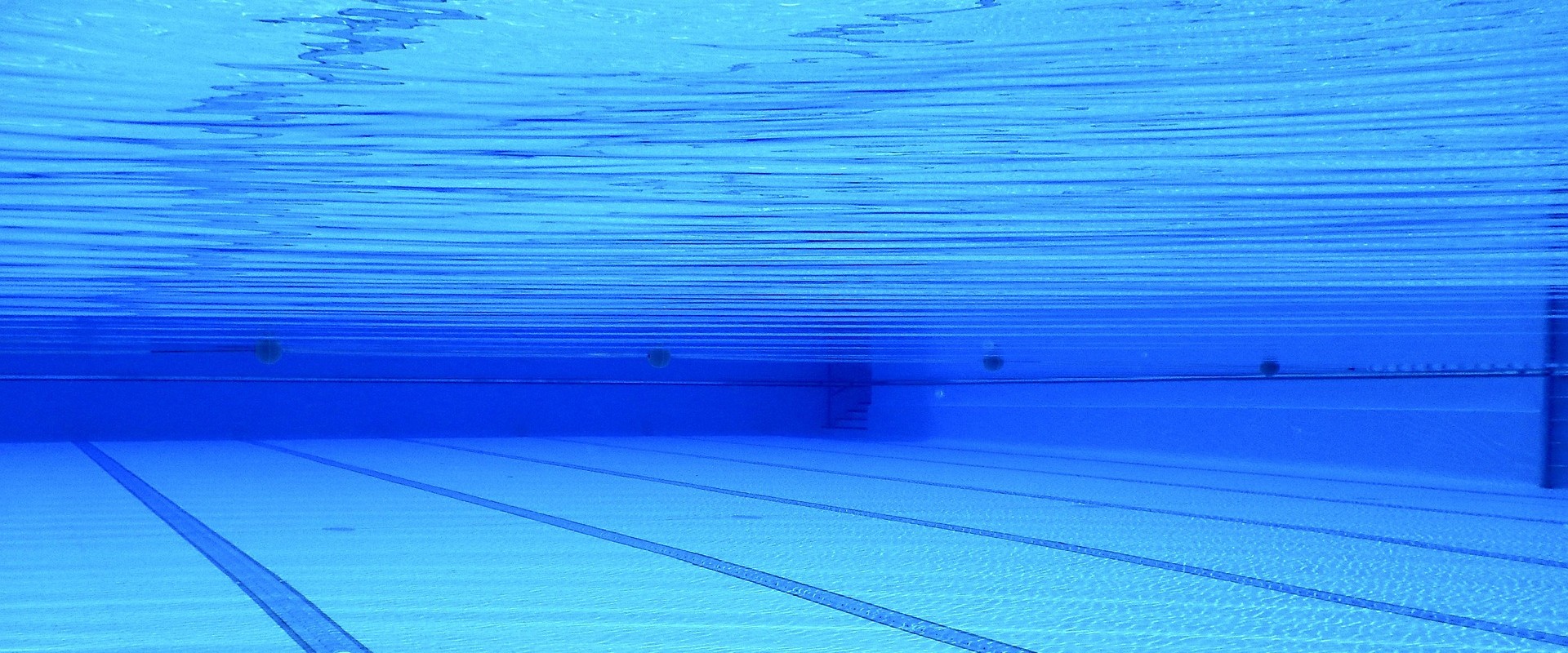 Enhance Your Home with Adams Pool Solutions' Custom Pools