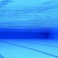 Enhance Your Home with Adams Pool Solutions' Custom Pools